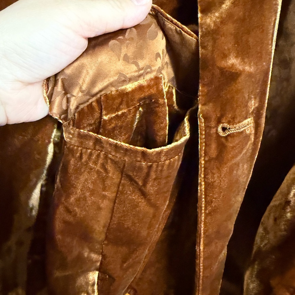 Anthropologie Velvet Blazer in Rich Brown - Picture 2 of 4